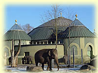 Tierpark Hellabrunn